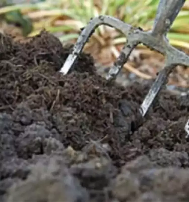 El Estiércol: Un Tesoro Agrícola Resurgente para la Sostenibilidad del Suelo