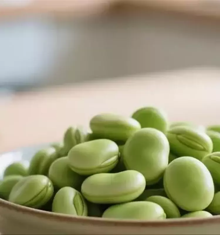 Las Habas: Un Superalimento Resurgente para la Salud Humana y del Suelo