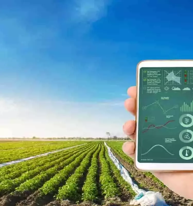Revolución Agrícola: La Irrigación Inteligente Impulsada por IA y Energía Renovable