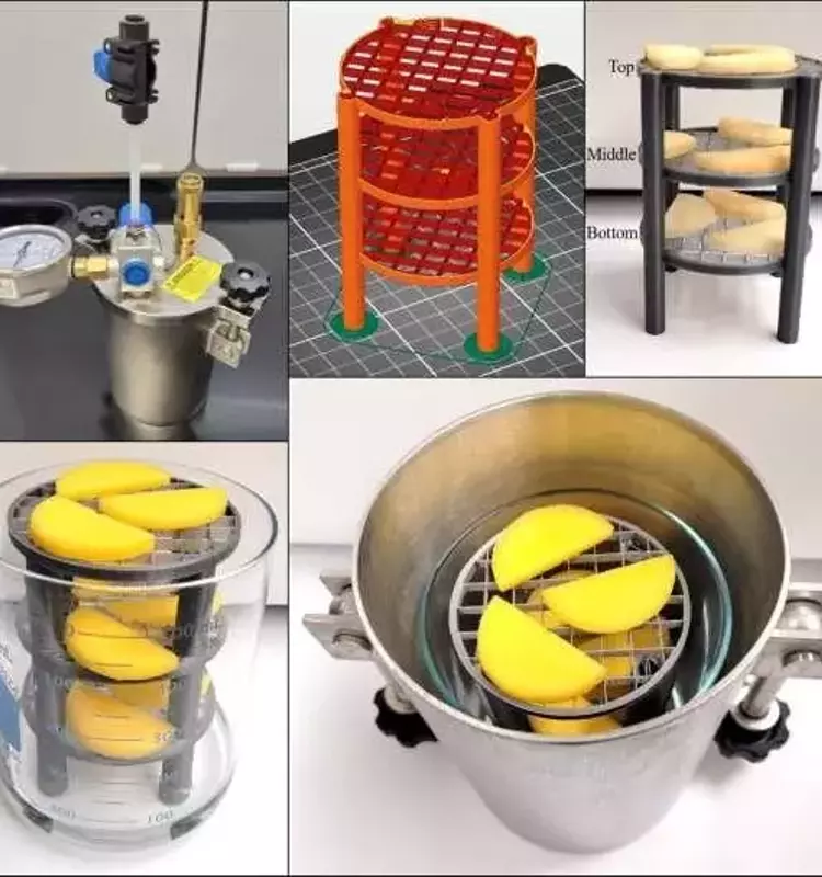 Revolucionario Método de Deshidratación de Frutas Sin Calor
