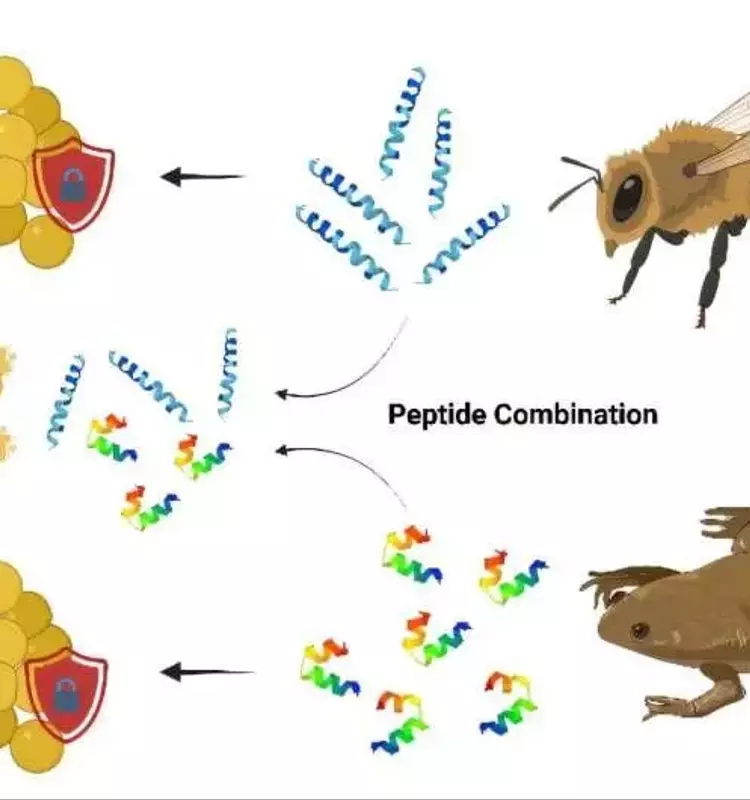 Proteínas Naturales: La Innovadora Defensa contra Superbacterias en la Agricultura