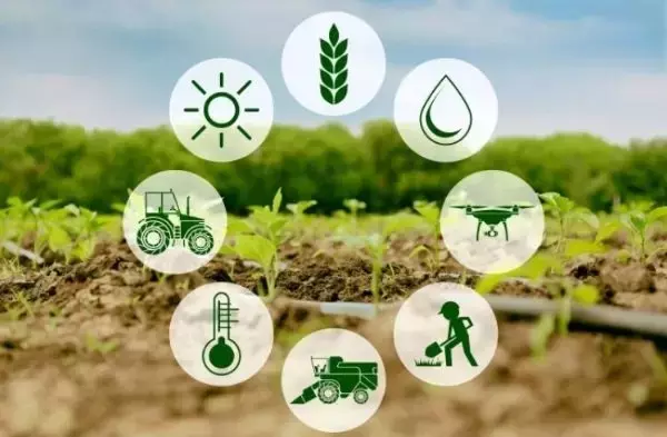 Revolución Agrícola: Impulso Tecnológico para un Futuro Sostenible
