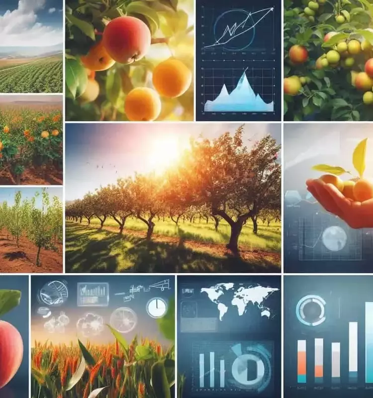 Estrategias de Fertilización para Árboles Frutales tras la Cosecha