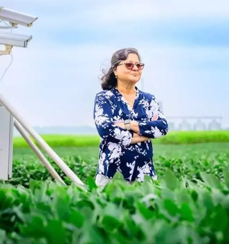 Innovación Agrícola: Impulsando Biocombustibles con Bajas Emisiones de Carbono