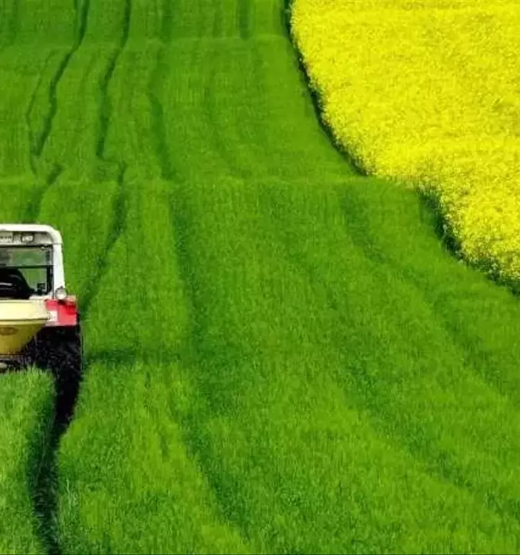 Cultivos Canadienses: Líderes Mundiales en Baja Huella de Carbono