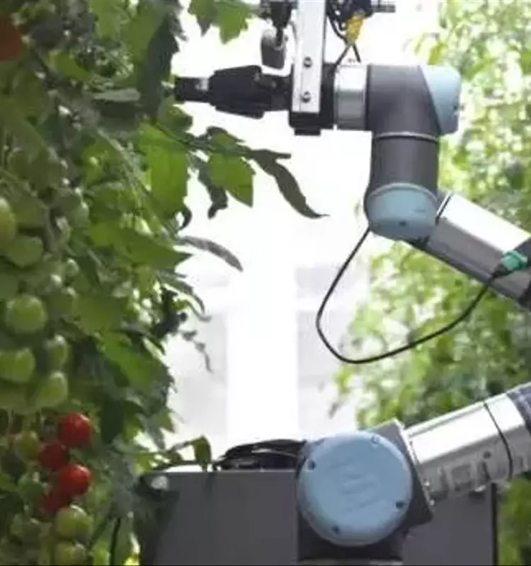Revolucionando la Agricultura: Robots e Ingeniería Genética para Cultivos del Futuro