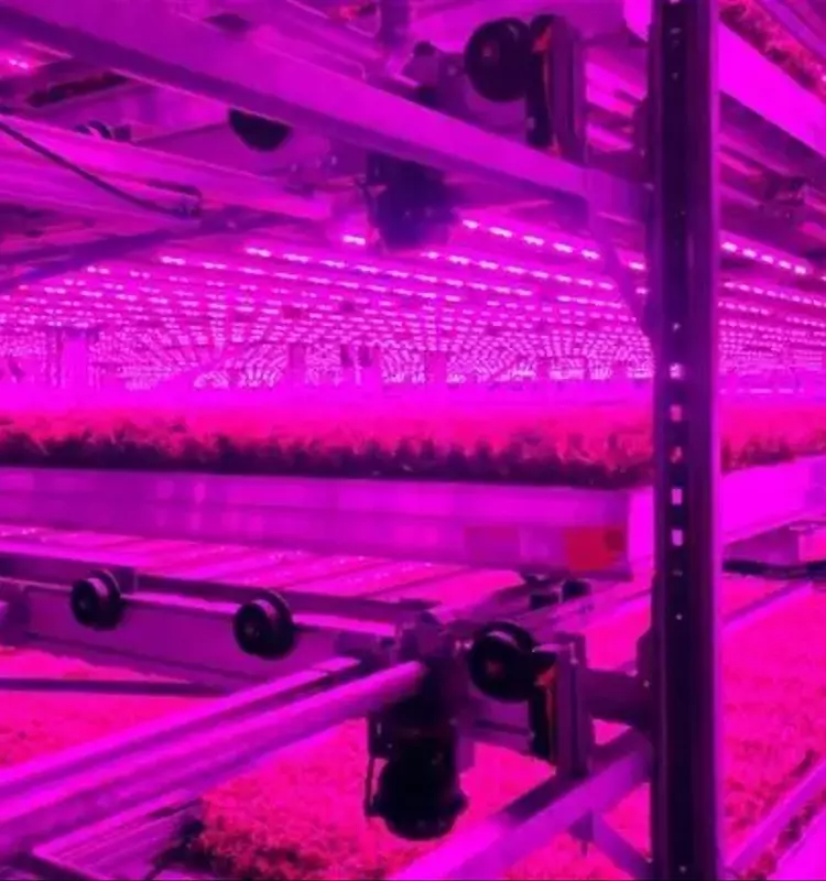 Revolución Agrícola: Fusión Crea la Red de Cultivo Vertical Orgánico Más Grande de EE. UU.
