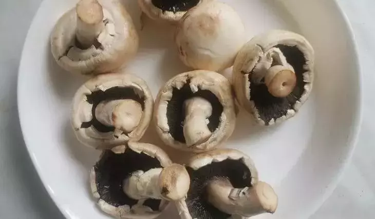 Quitosano de Champiñones: Una Alternativa Sostenible y Rentable