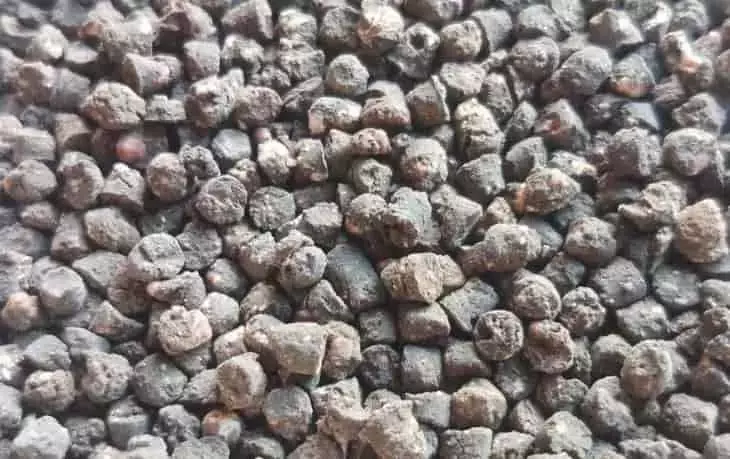 Optimización Agrícola: La Reducción de Fertilizantes Potencia la Resistencia Vegetal