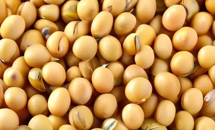 La Paradoja de la Soja en Corea del Sur: Un Desafío Agrícola y Económico