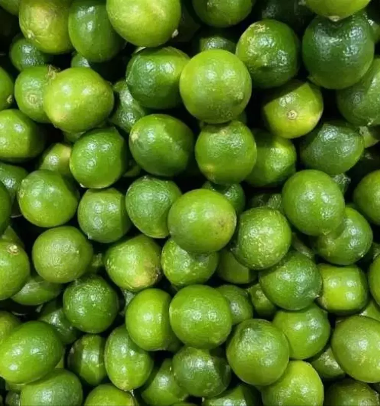 Limones y Limas Hawaianas: Abrir el Camino a la Exportación Global