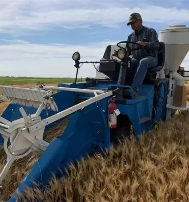 Hacia una Agricultura de Carbono Positivo: La Tesis del Dr. David Rourke