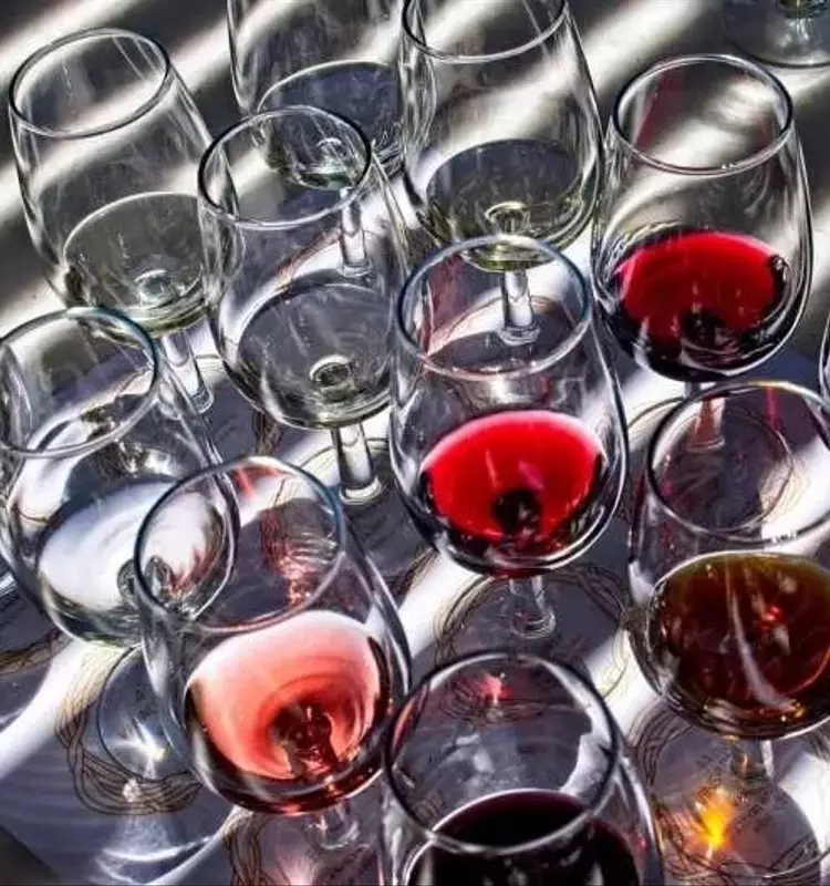 Desenmascarando los Secretos del Vino: Un Viaje Genético al Origen de Cabernet Sauvignon y Chardonnay