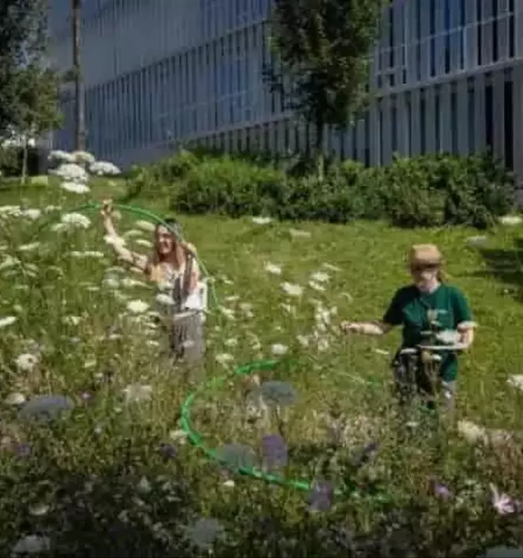 Flores y Polinizadores: Un Barómetro de la Habitabilidad Urbana