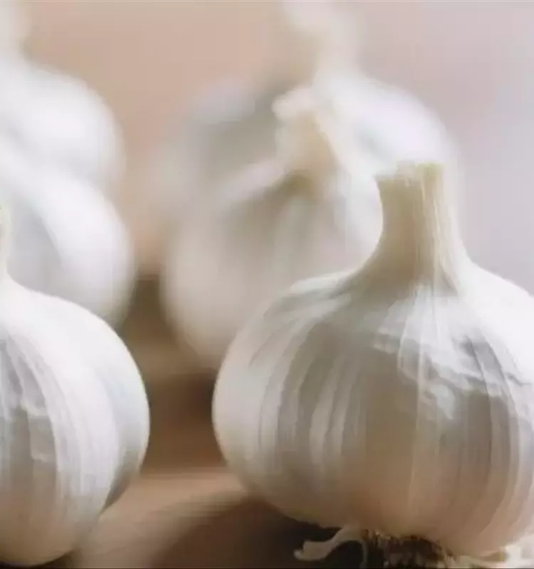 Biofortificación de Ajo con Selenio: Un Avance Nutricional en China