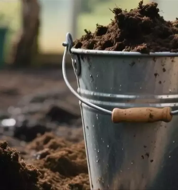 Optimización de Invernaderos en Otoño: Abonos y Biopreparados para un Suelo Fértil