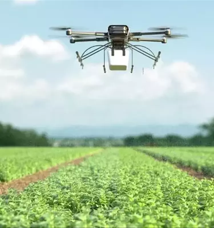 Avances en la Agricultura de Precisión: Drones y Análisis Espectral para una Fertilización Optimizada