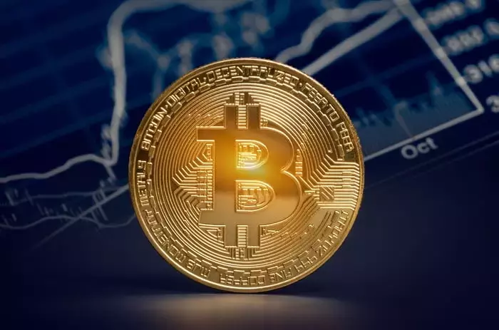 Bitcoin's Future: Reaching for the Stars or Grounded Reality?