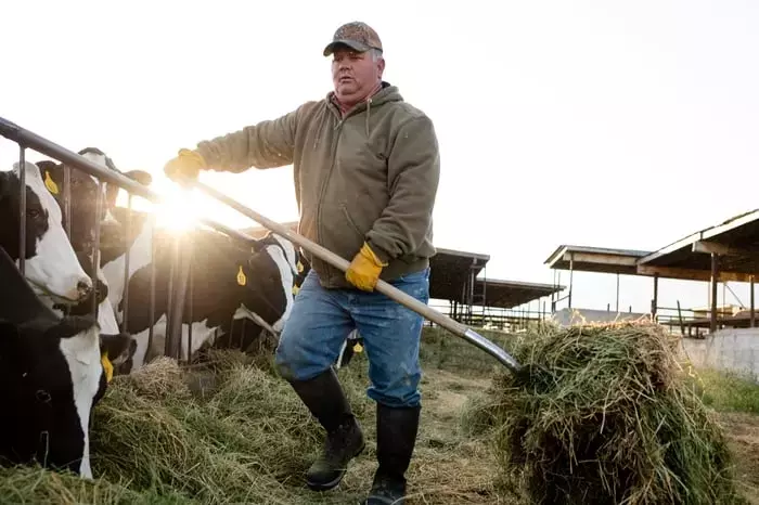 Tractor Supply: A Robust Dividend Stock for Long-Term Investors
