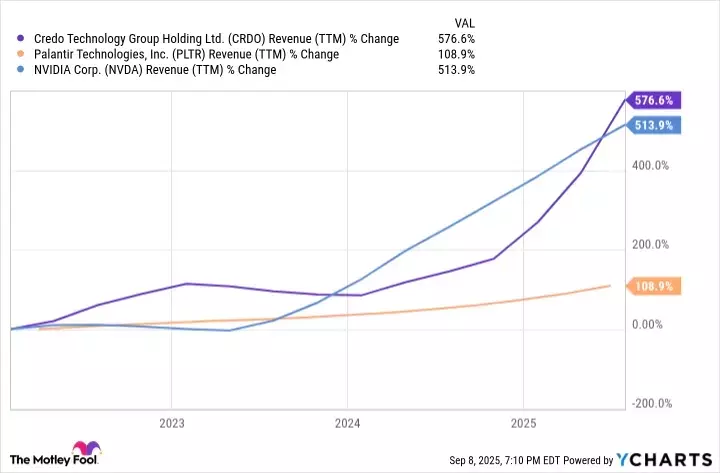 Credo Technology Group: Powering the AI Revolution with High-Speed Connectivity