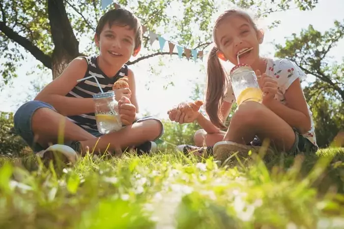 Lemonade's Ascent: An AI-Driven Insurtech's Path to Market Leadership