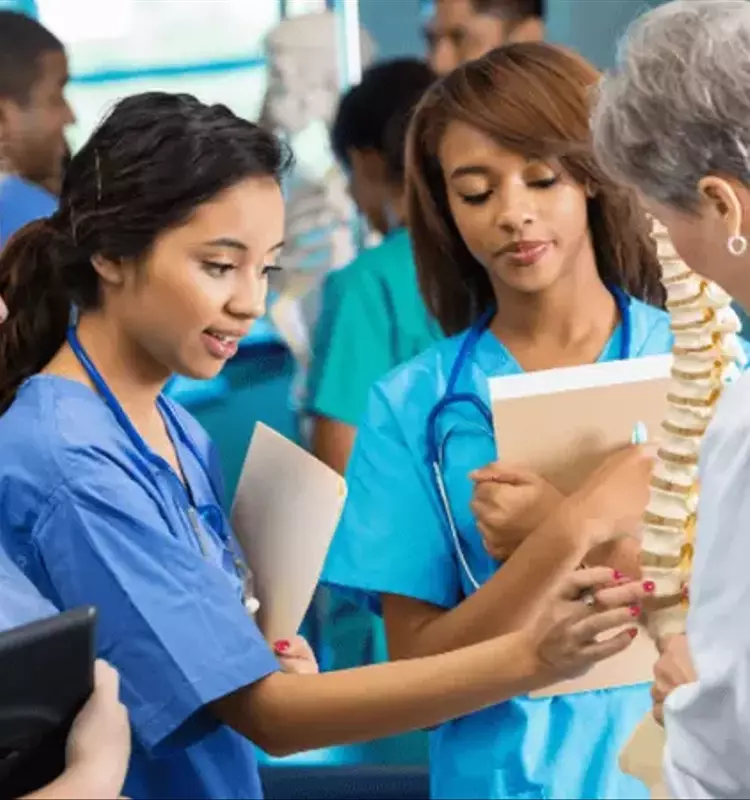 A Comprehensive Overview of Online Language Courses