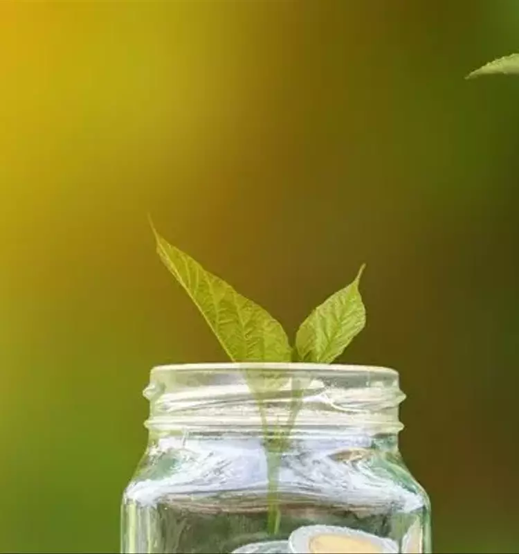 Strategies to Achieve a $10,000 Return with Certificates of Deposit