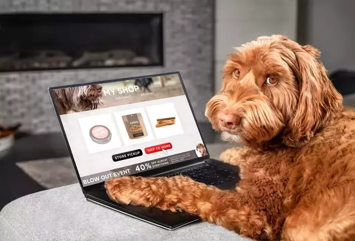 Chewy's Stock Drop: An Opportunity for Investors?