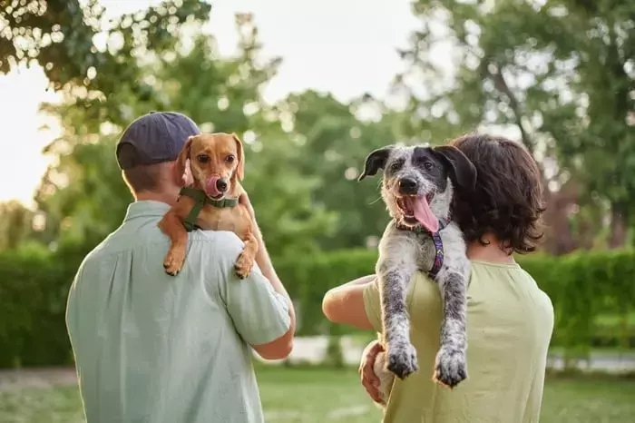 Chewy's Strategic Expansion: A Pathway to Enhanced Profitability