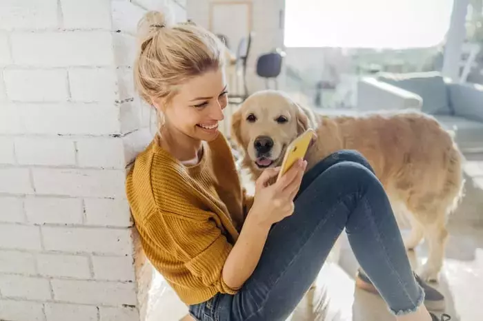 Chewy's Strategic Rebound: Operational Strength Amidst Market Volatility
