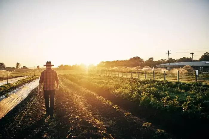 Tractor Supply's Strategic Blueprint for Future Growth