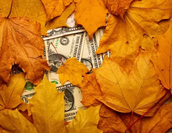 Top Stock Picks for October: Underperforming Giants with Long-Term Potential