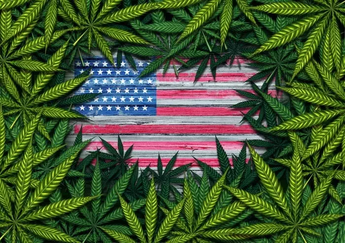 Trump's CBD Post Ignites Marijuana Legalization Hopes and Stock Surge