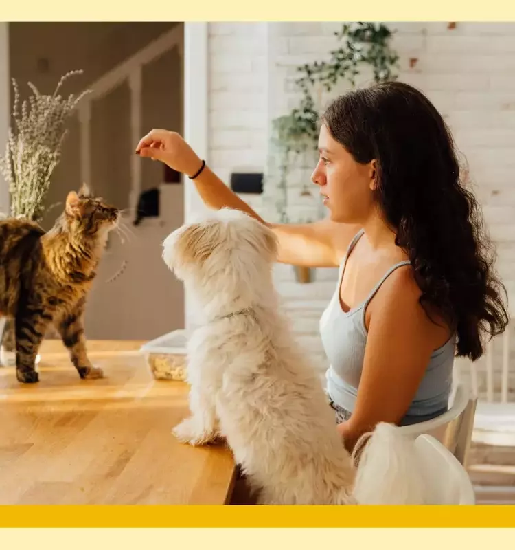 The 'Cat vs. Dog' Parenting Approach: Guiding Children Through Development