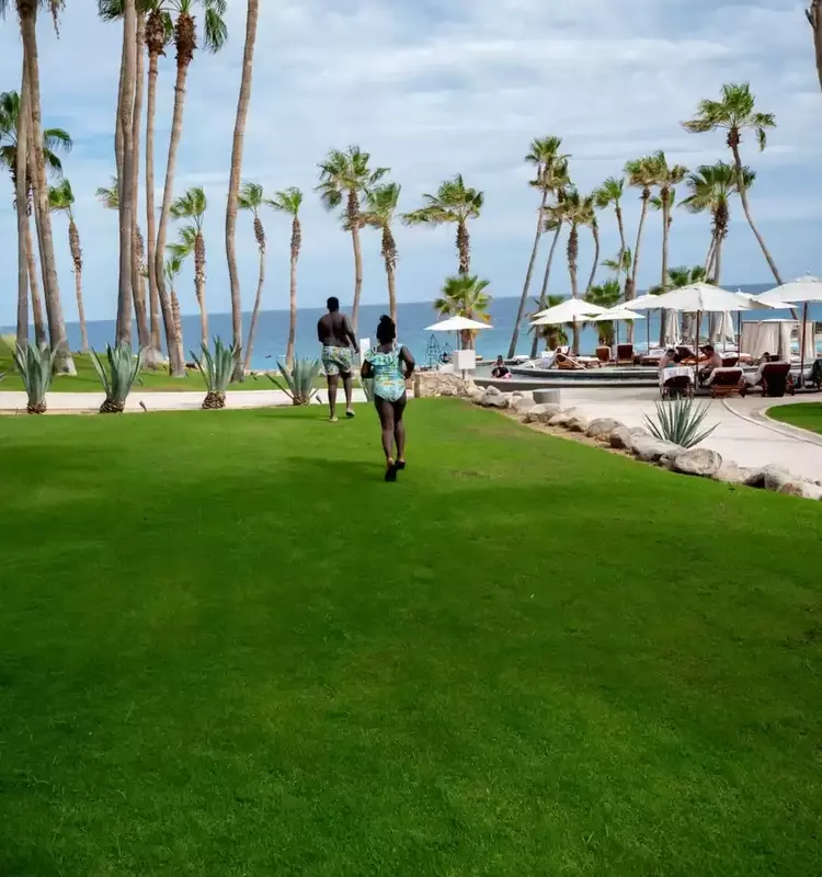 Healing Through Travel: Honoring a Loved One's Legacy in Los Cabos