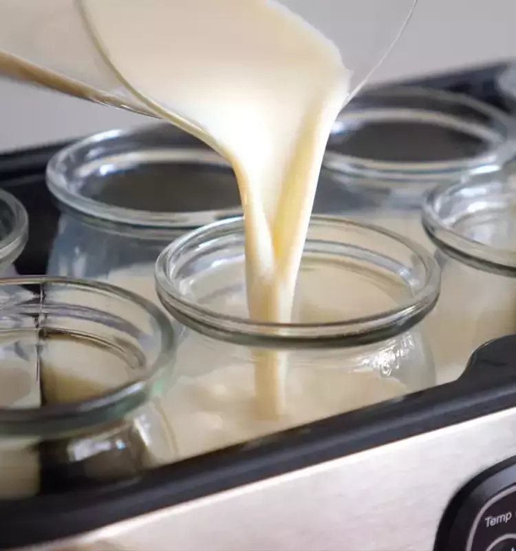 Domina el Arte del Yogur Casero: Una Guía Esencial de la Nutricionista Sonia González