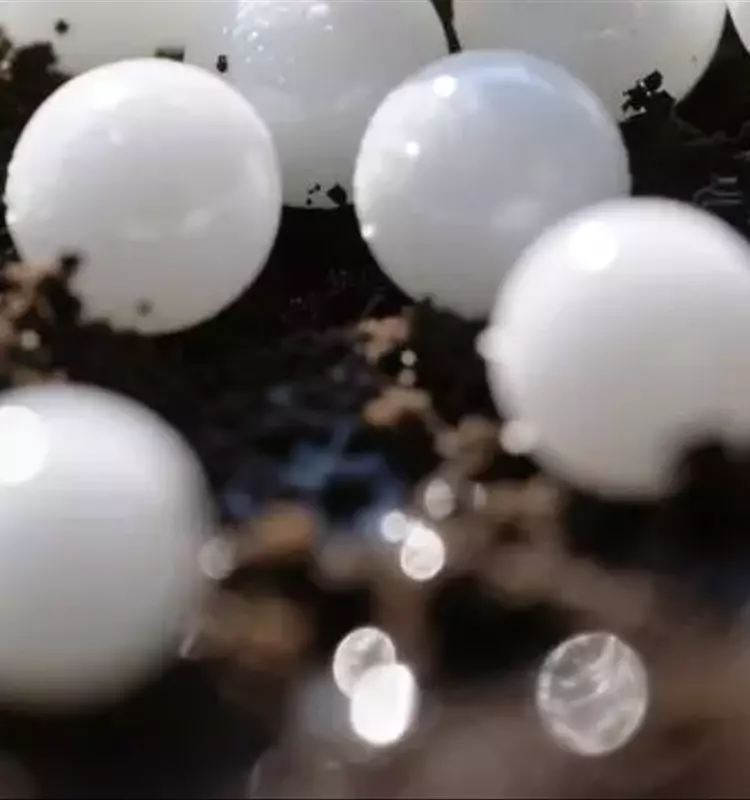 Mejora de la Sanidad Vegetal mediante la Fertilización del Suelo