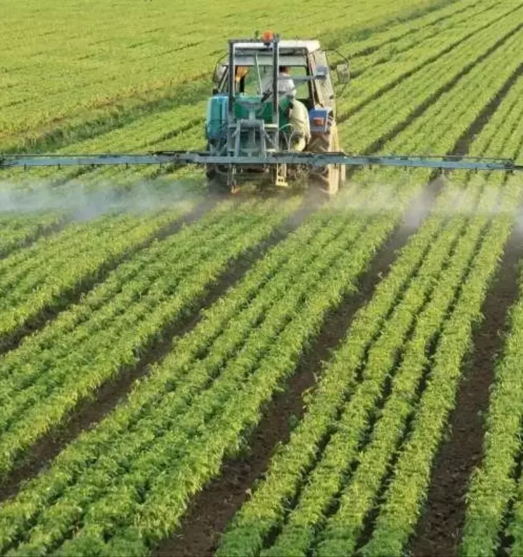 Transformación Global en la Agricultura: El Tamaño Promedio de las Explotaciones se Triplicará para 2100