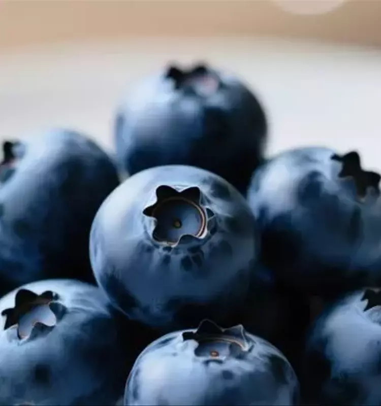 Arándanos se Adapta al Clima Cambiante: Un Desafío Global