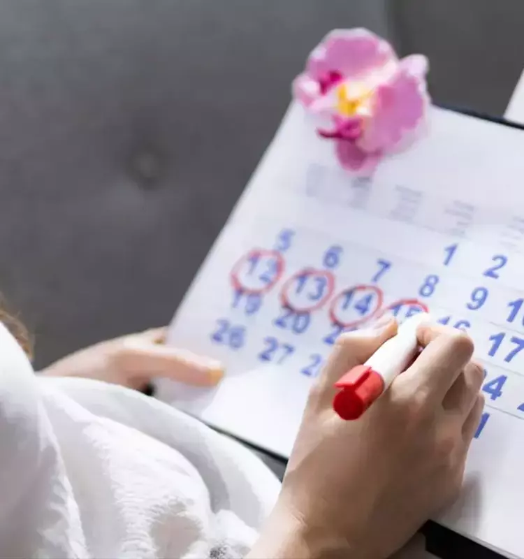 La ciencia revela cómo el cerebro femenino se transforma con el ciclo menstrual y el uso de anticonceptivos
