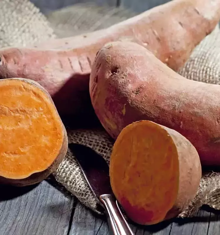 Alimentos de Temporada para Mejorar tu Estado de Ánimo: Recetas Sencillas y Nutritivas