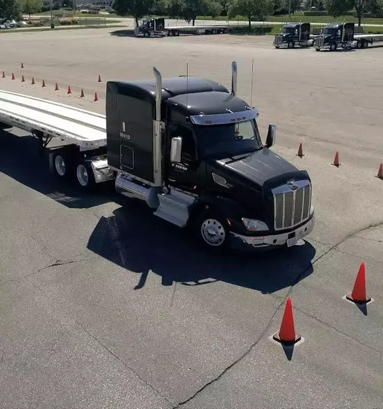 Online English Courses: From Beginner to Fluent