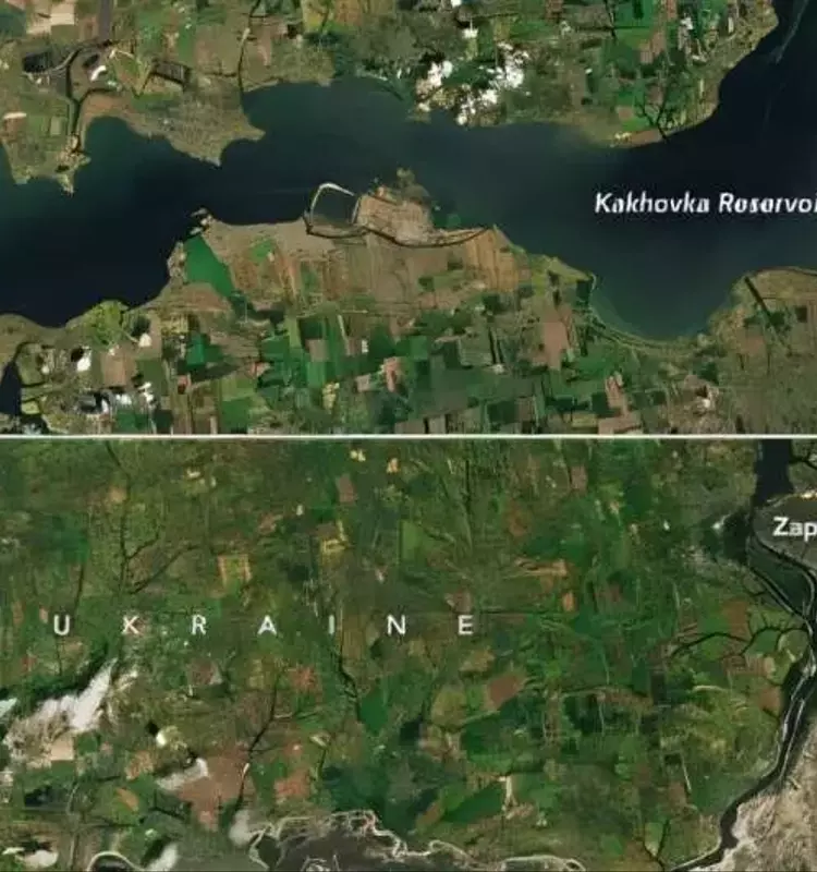 La IA en la agricultura: Transformando la resiliencia en el sector