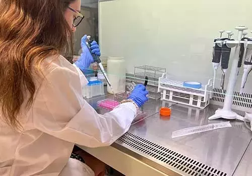 Avances en Nutrición de Precisión para la Tercera Edad: Eurecat y AZTI Lideran la Investigación