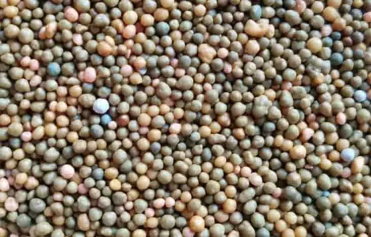 La volatilidad del mercado global de fertilizantes: ¿oportunidad o desafío?