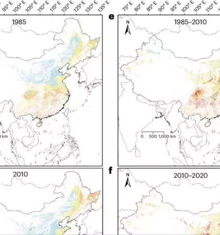 Estabilización de la Acidificación en Suelos Agrícolas Chinos: Un Avance con Retos