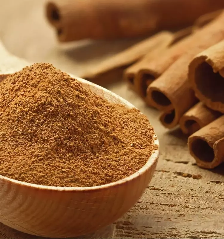 Soluciones Ecológicas: Protegiendo Semilleros con Leche, Canela y Otros Remedios Naturales