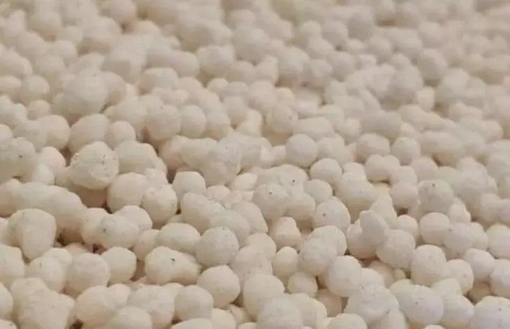 La Batalla por el Futuro de los Fertilizantes Nitrogenados: ¿Electrólisis Pulsada vs. Haber-Bosch?