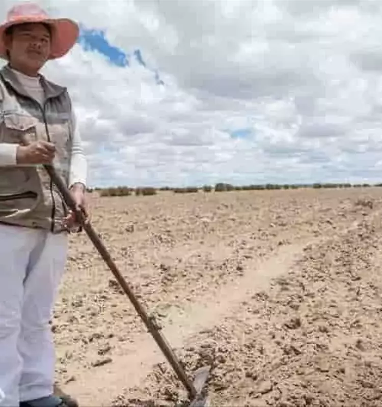 La Deterioración del Suelo Amenaza la Seguridad Alimentaria Global, Advierte la FAO