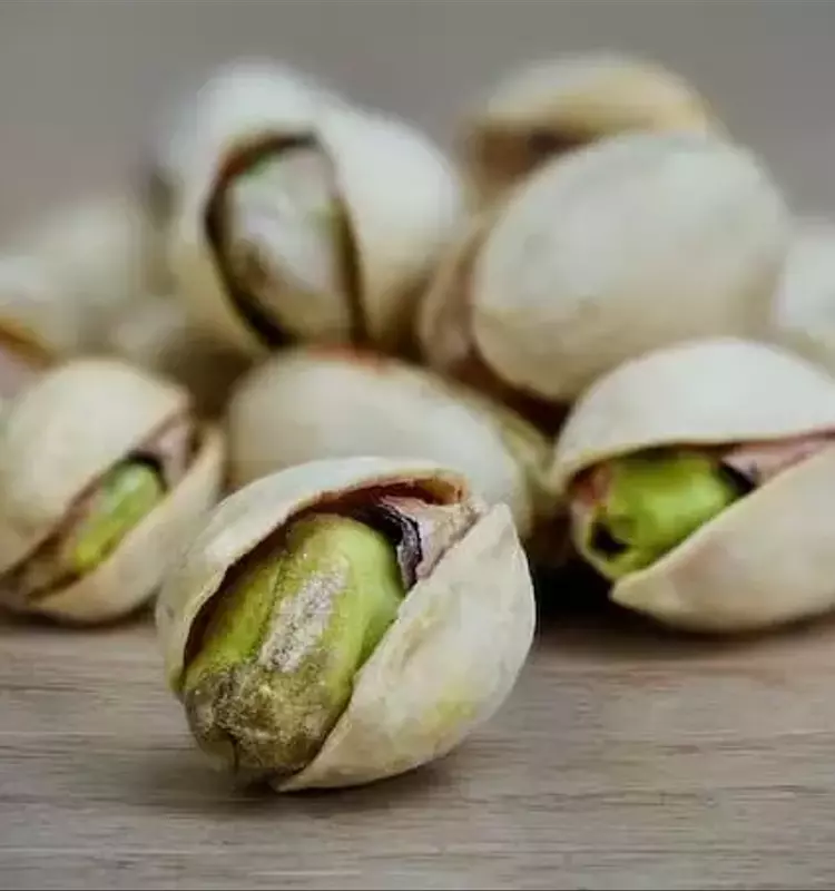 Guía Completa para Cultivar tu Propio Pistacho: Desde la Siembra hasta la Cosecha